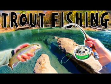 Fly Fishing EPIC TROUT Stream LOADED W/ AGGRESSIVE FISH! || Ep 2