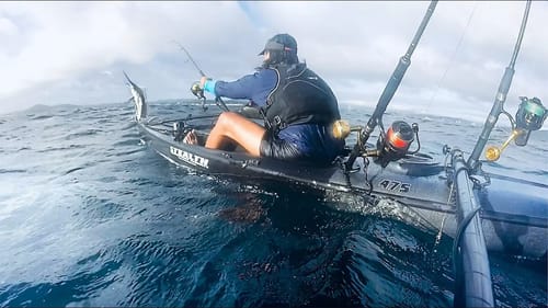 Black Marlin Teaches Me A Lesson... Again!