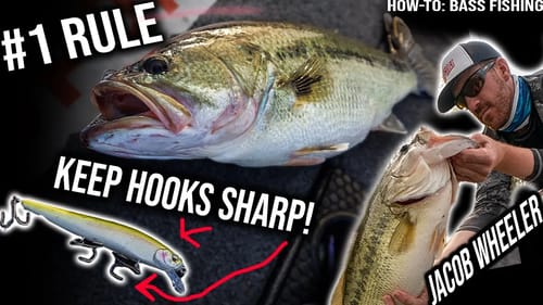 The Most Important Thing in Fishing