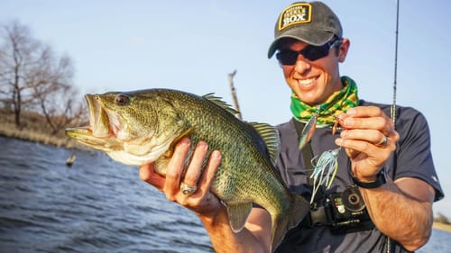 Fishing Spinnerbaits on the BANK for BIG BASS