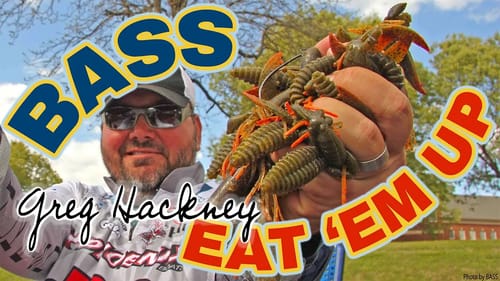 THE BEST Flipping Bait - Greg Hackney