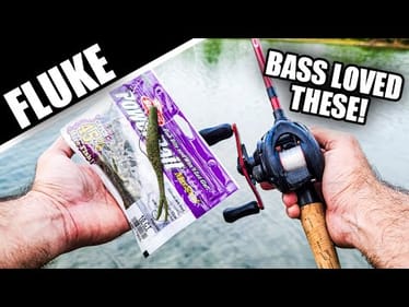 Fall Bank Fishing with PowerBait Flukes (Catch STUBBORN Bass)