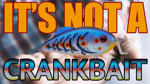 Hybrid Hunter Bass Fishing Lure...NOT a Crankbait?!?!