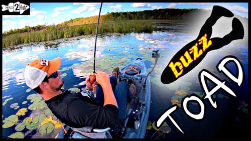 4 Reasons to Use Toads Over Hollow Body Frogs for Fall Bass