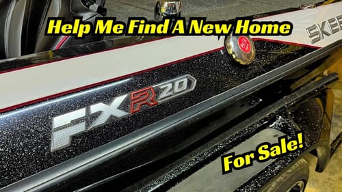 I STILL Need Your Help Finding A New Home For My Skeeter!