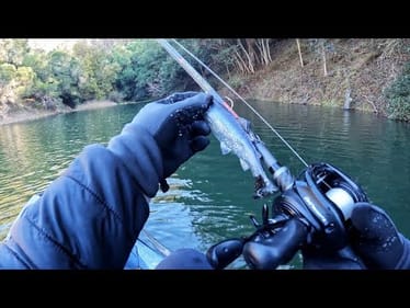 This was inevitable - Return to Lake Chabot