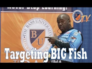 Targeting BIG Bass with ISH MONROE