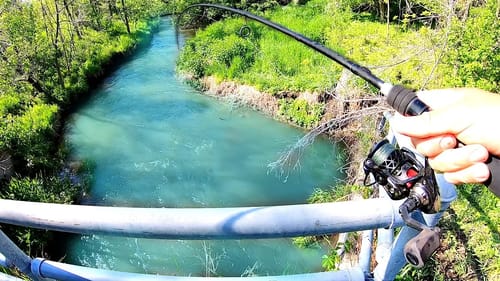 INSANE Road-Side Bridge Fishing a TINY Creek!!