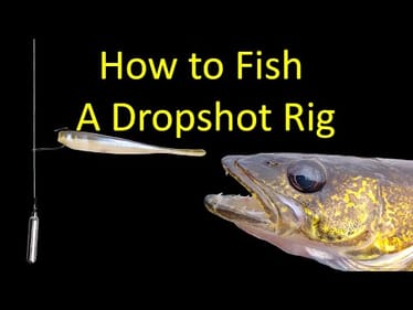 How to Fish a Dropshot Rig for Bass and Bluegills (underwater footage)