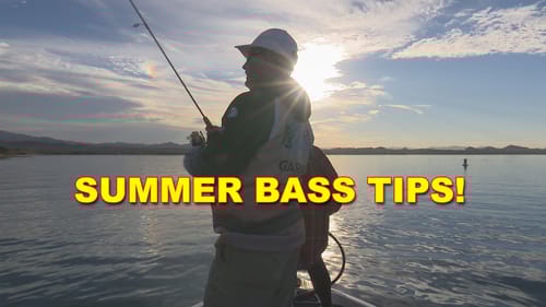 Best Summer Dropshot Tips for Bass Fishing | Bass Fishing