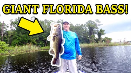 GIANT Florida Bass Fishing! -  NEW PB LARGEMOUTH!
