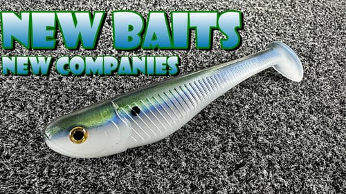 NEW Baits and NEW Companies - From The Little guys