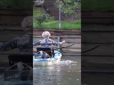Catching big bass on big swimbaits! #shorts