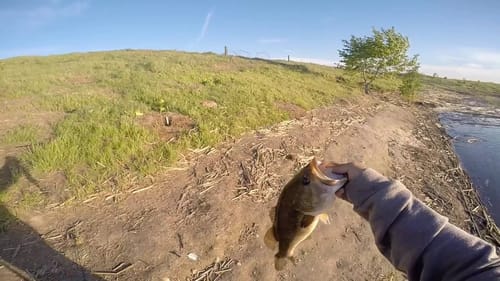 Quick Pond Fishing After Work