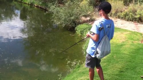 Fall Bass Fishing With Swimbaits