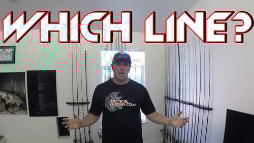Best Fishing Line for Every Technique