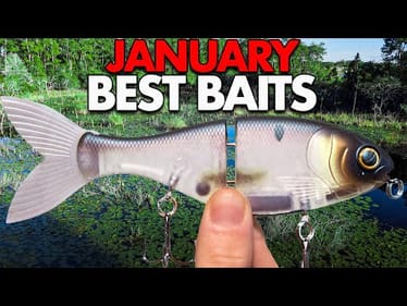 I NEVER Go Fishing Without These 5 Baits in January!