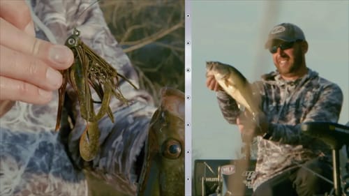 Terminator’s new HD swim jig!