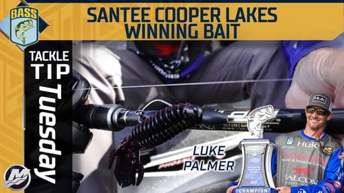 Varying weight sizes leads to incredible success around the bass spawn