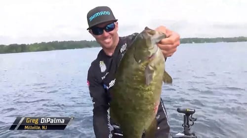 Greg DiPalma's two quality smallmouth early on Day 3