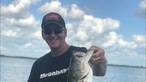 The 2 Best Ways To Catch Large Numbers Of Bass In April…(How/Where)
