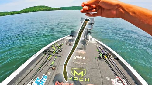 USING A MASSIVE WORM TO FISH FOR BASS!! WILL THEY EAT IT?