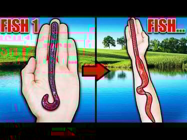 Every Time I Catch A Fish My Worm Gets BIGGER!