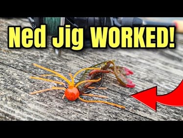 My SECRET Finesse Bait WORKED! (Spring Bank Fishing)
