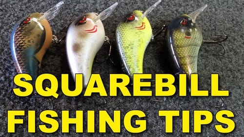 How To Fish Squarebill Crankbaits for Bigger Bass - Line, Rod, Retrieves | Bass Fishing