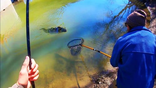 9 POUNDER from a CREEK!!!