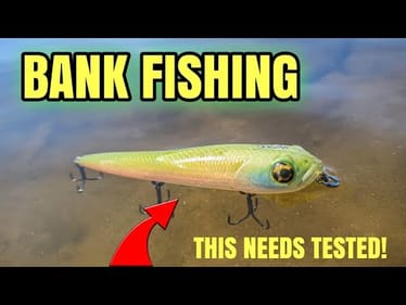 When in DOUBT...GO FISHING (Fall Bank Fishing)