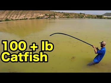 100 lb + CATFISH from the RIVER BANK!!
