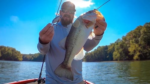 Fall Fishing On Chickamauga: Topwater, Fluke, and Crankbaits