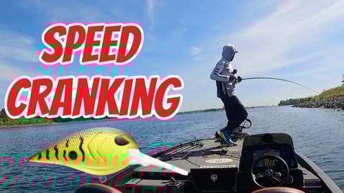How to Catch Bass Speed Reeling A Crankbait
