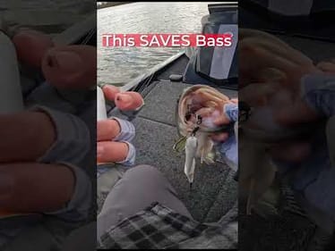 This Has Been A TRUE Game Changer This Year