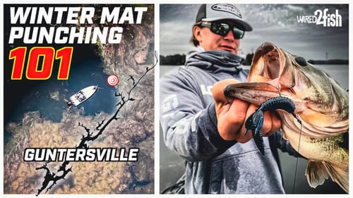 How to Punch Grass Mats for Winter Bass | Guntersville