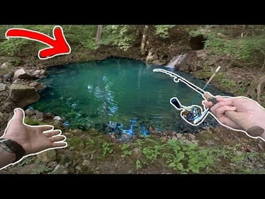 HIDDEN Tiny Pond!!!