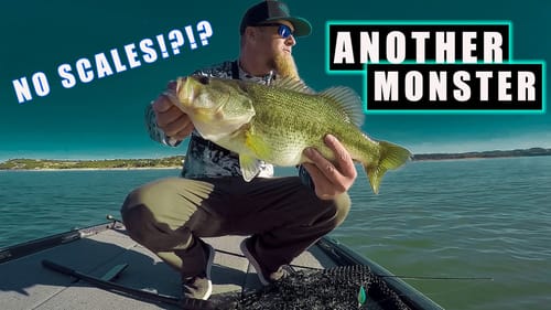 Best Trip EVER!!! TWO 5+ LB BASS CRANKING, & UFC 246 REACTION