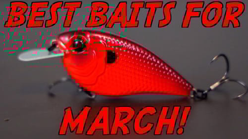Catch MORE Bass With These MARCH Lures!