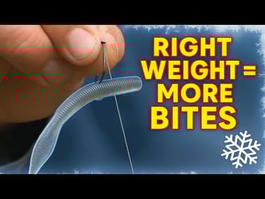 Winter Bass Fishing What Weight & Worm Work Best? | Bass Fishing