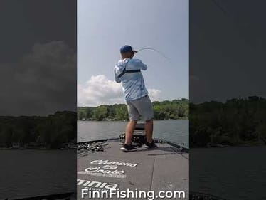 Best FISHING Shorts EVER! #shorts
