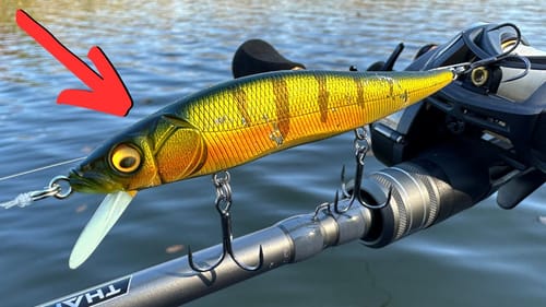 This Will ALWAYS  Be One Of The BEST Coldwater Lures