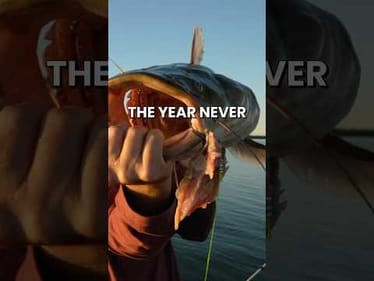 Surprise Flathead on Carp Bait at Lake Lewisville #fishing