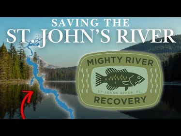 Uncovering the Truth: Battle to Save Florida's St. Johns River!
