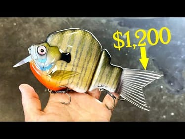 Oversized BlueGill Built for a $1,200 Tail Fin