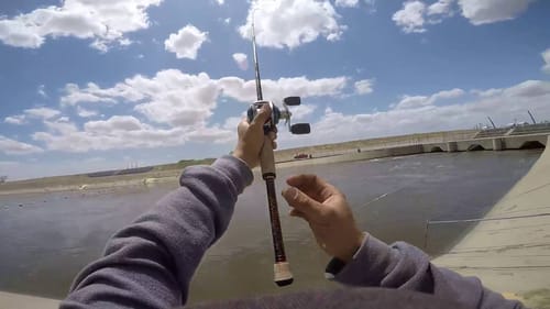 Catfish Fun at the California Aqueduct