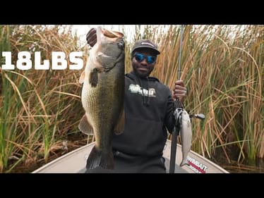 I've Never Caught Giant Bass Like This Before In My Entire Life!