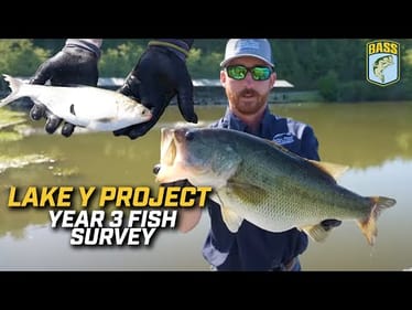 Tracking fish growth and species diversity during electroshocking survey