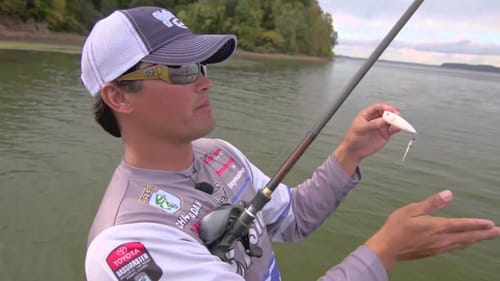 Fishing a Topwater Popper for Bass around Grass