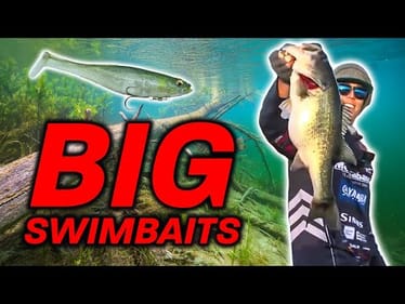 Master Big Bait Bass Fishing (Pro Tips from Matty Wong | Bass University Tutorial)